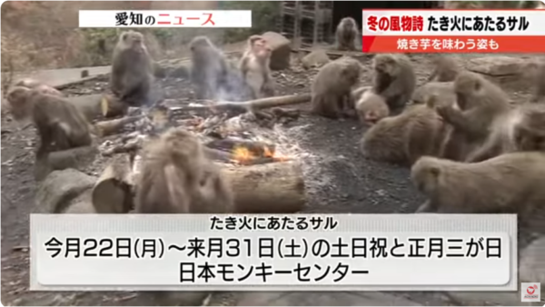 愛知のニュース【テレビ愛知 ニュース・スポーツ公式チャンネル】